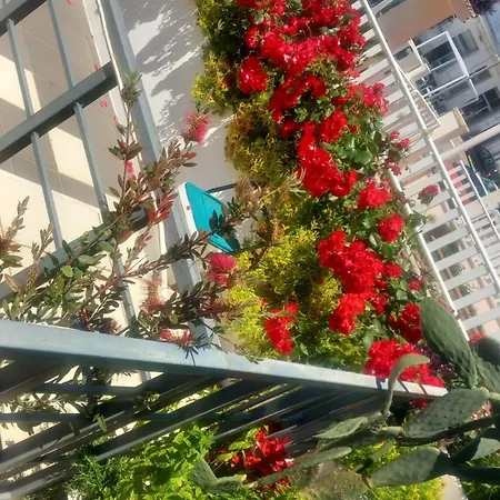 Διαμέρισμα Antica Puglia *