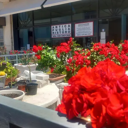 Antica Puglia شقة ألبيروبيللو